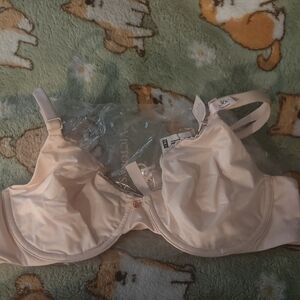 Body By Victoria's Secret Light Pink Bra Nwt Invisible Lift 36c